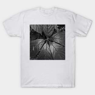 Black and White Big Leaves T-Shirt